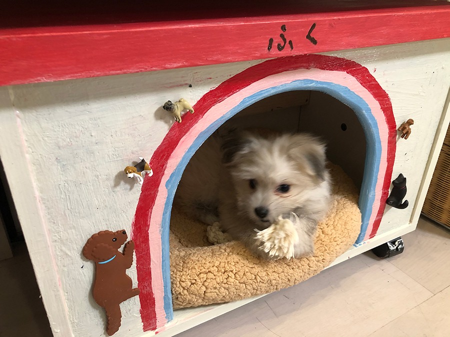 ふくくん