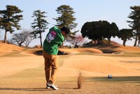 千鳥ノブ (c)フジテレビ