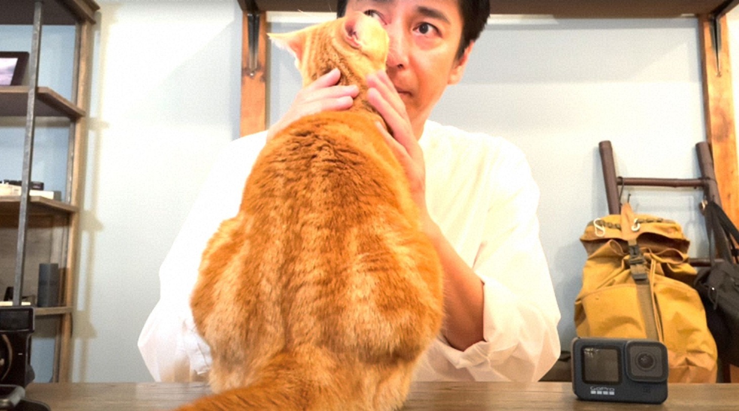 チュートリアル徳井と猫。(c)徳井video/OmO