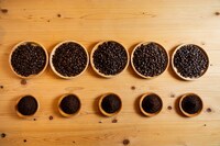 「イモトの珈琲」イメージ