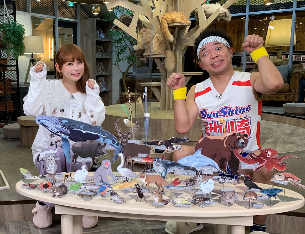 動物映像を見るネコを見る番組、ゲストはサンシャイン池崎と中川翔子