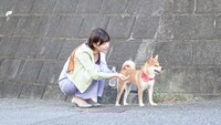 「犬、回転して、逃げる」のワンシーン。