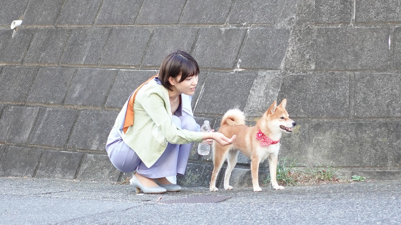 「犬、回転して、逃げる」のワンシーン。