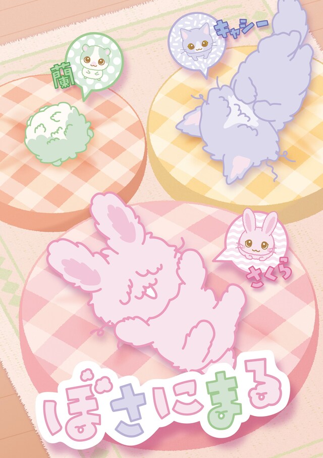 「ぼさにまる」ビジュアル