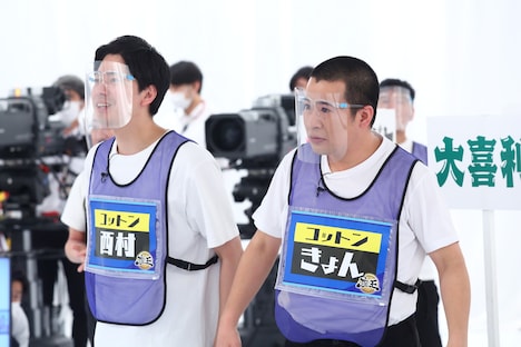 コットン (c)カンテレ