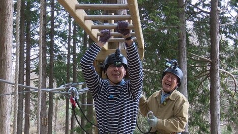 コットン (c)静岡第一テレビ