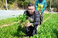 シソンヌ長谷川 (c)日本テレビ