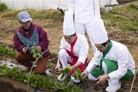 「脇役食材のバズレシピ」のワンシーン。(c)ABC