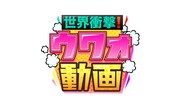 「世界衝撃！ウワォ動画」ロゴ (c)日本テレビ