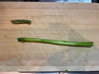 アスパラガスを切る。