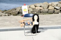 最後のネタではトム・ブラウンの気合いによって2人の体の一部がこちら側に現れ、「ダメー」のツッコミを間近で見ることができた。