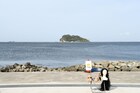 トム・ブラウン、4度の延期乗り越え無人島単独ライブ大成功!実は7本目で揉めていた
