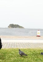 「がちょん十郎 ツアーファイナルin無人島 スーパーソーシャルディスタンス単独ライブ SSDT」の様子。