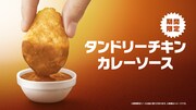 「タンドリーチキンカレーソース」のイメージ。
