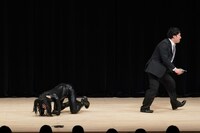 ロングコートダディ