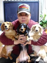 伊集院光と愛犬たち。(c)BS朝日