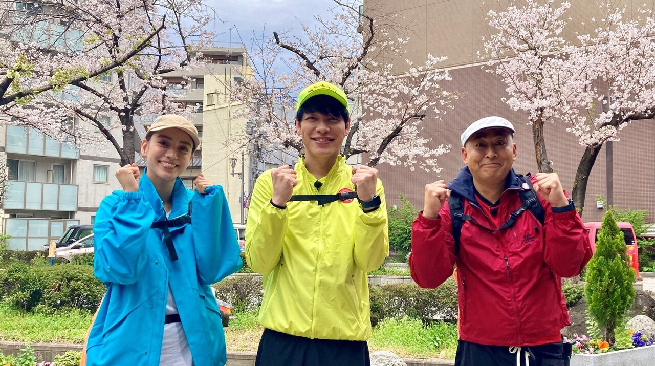 麒麟川島、錦鯉長谷川、滝沢カレン、桜の名所を巡って俳句詠む