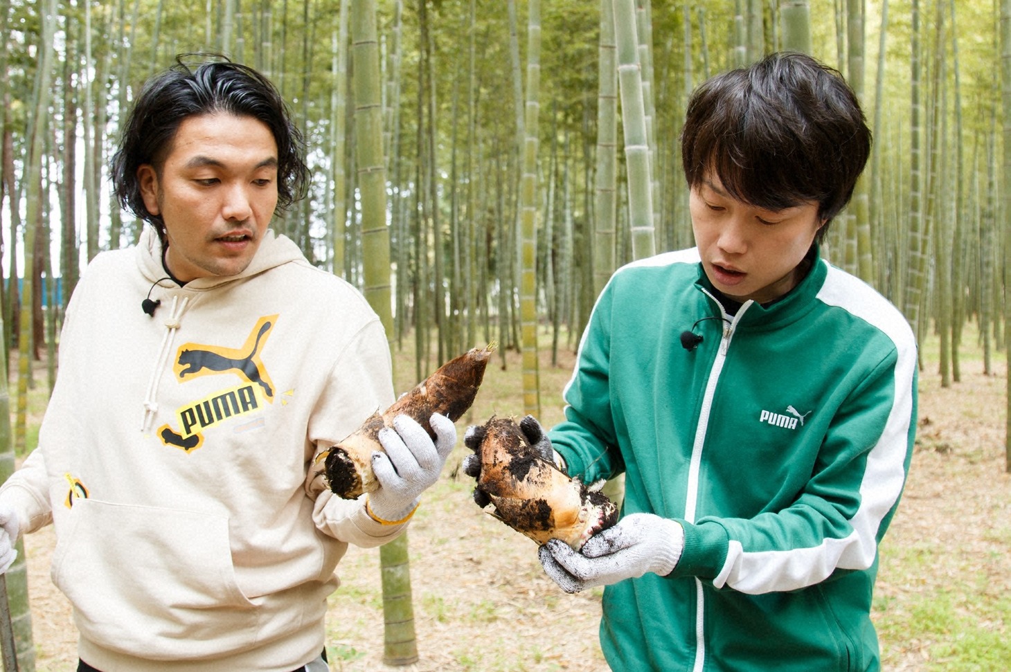 見取り図 (c)日本テレビ