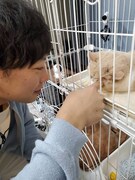ティモンディ前田が保護猫を預かる新企画「みんなの動物園」でスタート