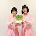 阿佐ヶ谷姉妹が語るシティボーイズへの憧れ、コンクリの上が楽屋だった結成初期