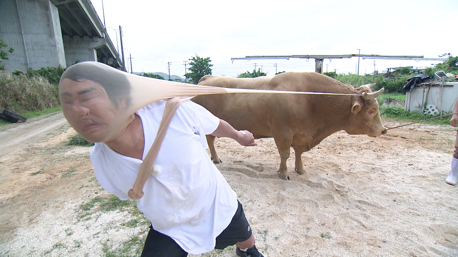 パンサー尾形 (c)ABCテレビ
