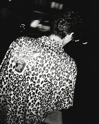 モグライダー芝