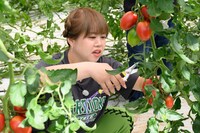 天才ピアニストますみ (c)日本テレビ