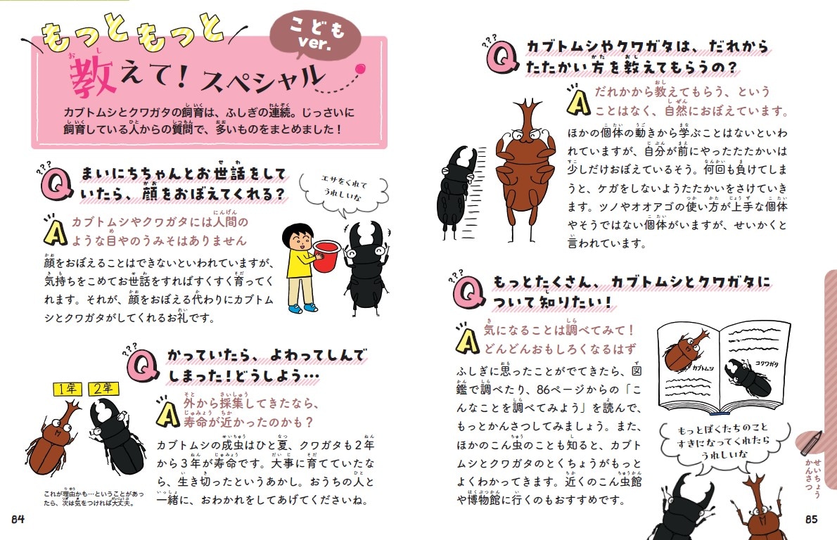 「こわくない！カブトムシ・クワガタの採集と飼育」より。
