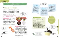 「こわくない！カブトムシ・クワガタの採集と飼育」より。