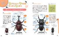 「こわくない！カブトムシ・クワガタの採集と飼育」より。