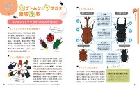 「こわくない！カブトムシ・クワガタの採集と飼育」より。
