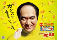 「ガツン、とみかん＆パイン杏仁豆腐」イメージ