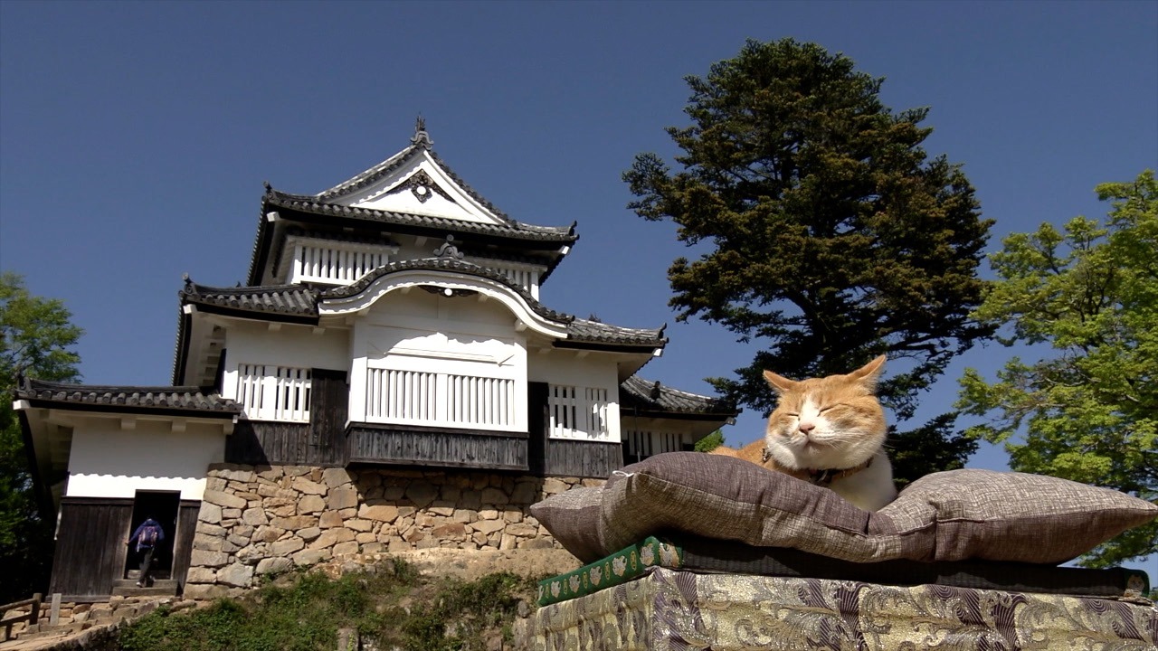 備中松山城と“猫城主”の「さんじゅーろー」。(c)RSK