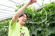 ザ・マミィ林田 (c)日本テレビ