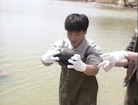 「巨大シジミ発見!?」のワンシーン。(c)ABCテレビ