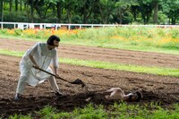 「おもしろテーマパークの人選手権」のワンシーン。(c)日本テレビ