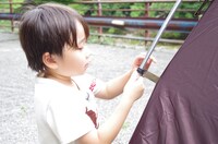 「謎解き！ファミリーキャンプ」のワンシーン。(c)テレビ大阪