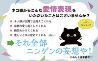 「保護ネコに幸せにしてもらった僕の推しネコ活」イメージ