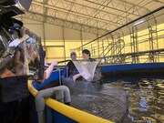 「霜降り明星のあてみなげ」より。(c)静岡朝日テレビ