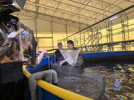 「霜降り明星のあてみなげ」より。(c)静岡朝日テレビ