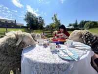 「世界珍ツアー大賞」のワンシーン。(c)日本テレビ