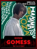GOMESS