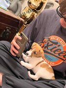 EXITりんたろー。とブレアちゃん。