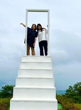 海原やすよ ともこ (c)読売テレビ