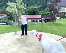 水を浴びている千鳥・大悟を見つめるポポ。