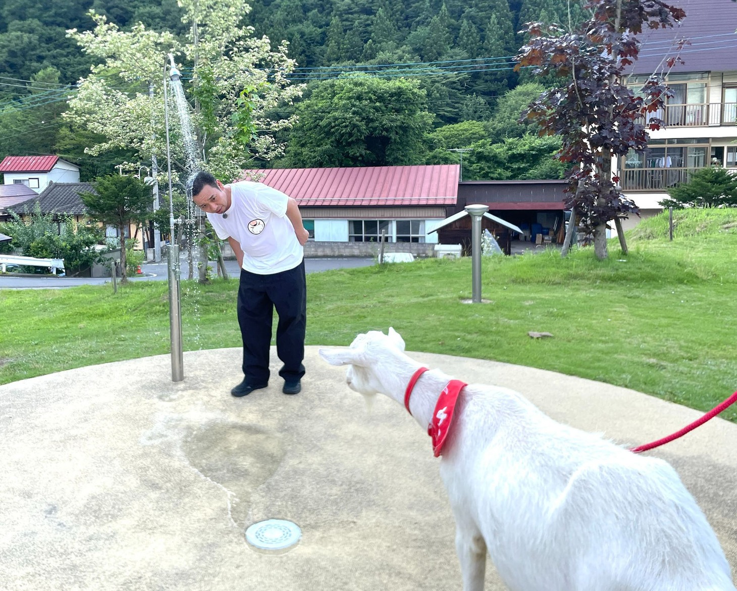水を浴びている千鳥・大悟を見つめるポポ。