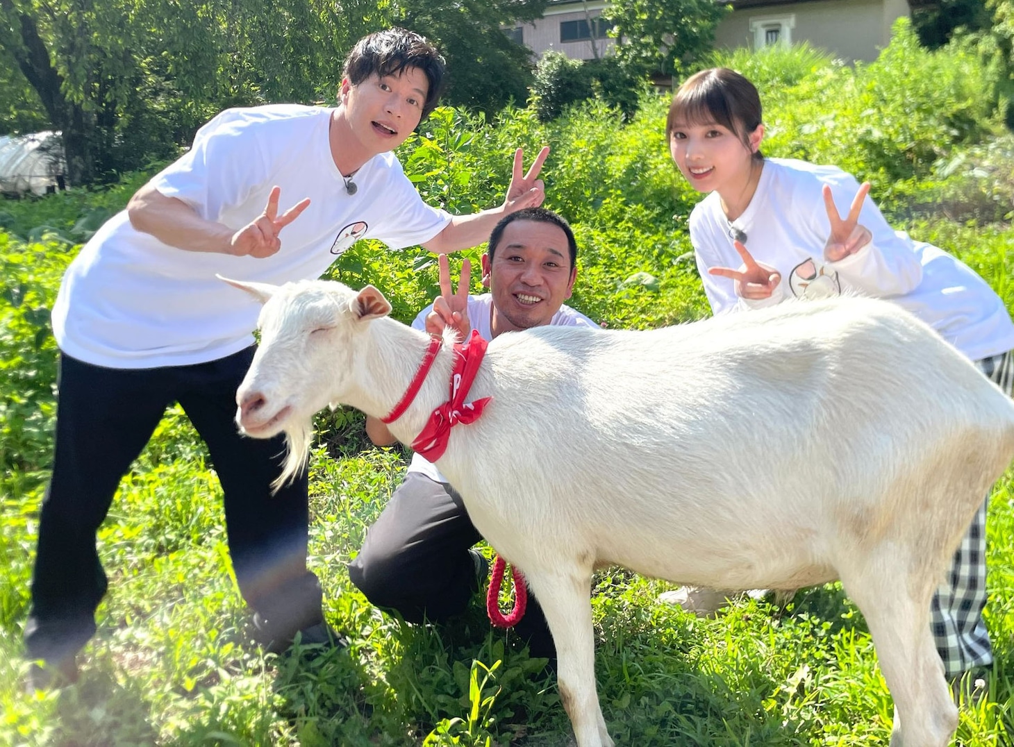 ポポと、（左から）田中圭、千鳥・大悟、与田祐希（乃木坂46）。