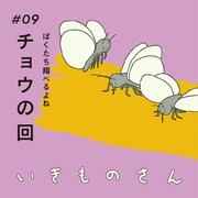 第9話「チョウの回」キービジュアル