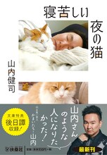 かまいたち山内「寝苦しい夜の猫」表紙（帯あり）