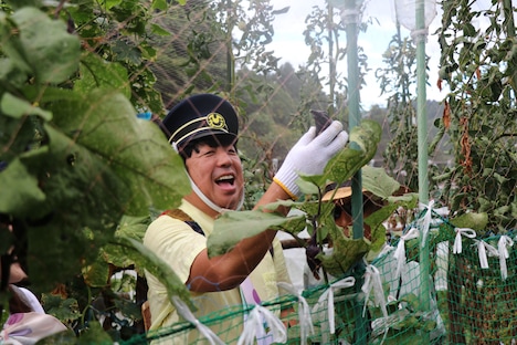 野菜を収穫するバナナマン日村。